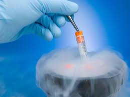 Embryo Freezing